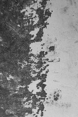 A captivating close-up of a distressed wall reveals a raw, textured surface where peeling paint creates an organic, abstract pattern of decay and transformation.