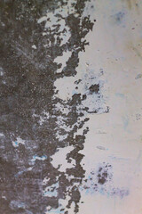 A captivating close-up of a distressed wall reveals a raw, textured surface where peeling paint creates an organic, abstract pattern of decay and transformation.