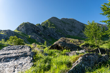 apuane
