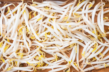 close up of a pile of a bean sprout