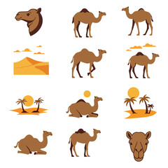Camel illustrations head full body desert scenes with sun dunes and palm trees in brown and yellow hues minimalist style
