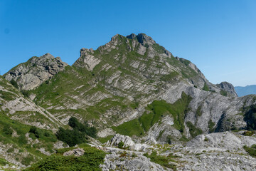 apuane