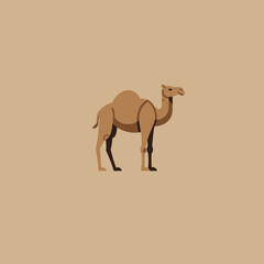 A simplified geometric tan camel with one hump stands on a matching background