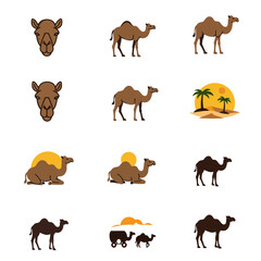 A collection of camel illustrations with varying poses and desert elements against a white background