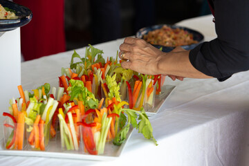 Caterer arranging fresh vegetable appetizers for a healthy event