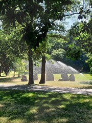 Fototapeta premium watering in Margaret Island