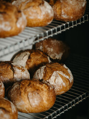 Fresh baked round breads stored in a bakery