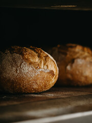 Freshly baked round bread from a bakery