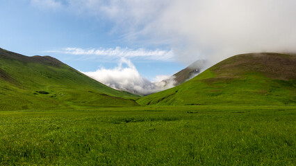 Lush green valley surrounded by rolling hills under a clear blue sky, with soft clouds drifting above, creating a serene and tranquil natural landscape scene