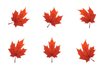 Collection of red maple leaf illustrations, PNG