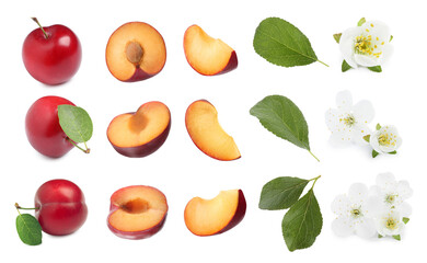 Yummy ripe plums, blossoms and green leaves on white background, collage