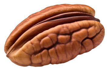 Whole pecan kernel macro shot, cut out on transparent background.