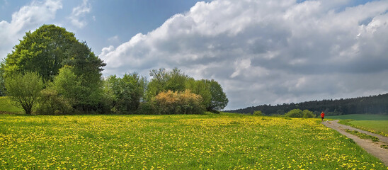 Jogger mit Hund im Frühling