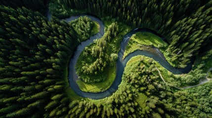 Obraz premium Aerial view of winding river through green forest, harmony with nature, space for headline