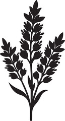 heather flower silhouette, black and white silhouette, vector and illustration