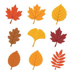 Colorful Leaf Icon Set. Isometric Flat icon set of leaf color palette: red maple leaf, orange maple leaf, yellow birch leaf, brown