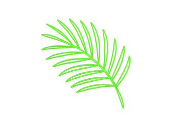 Fototapeta premium Vibrant green palm leaf isolated on a transparent background, representing tropical flora and exotic destinations