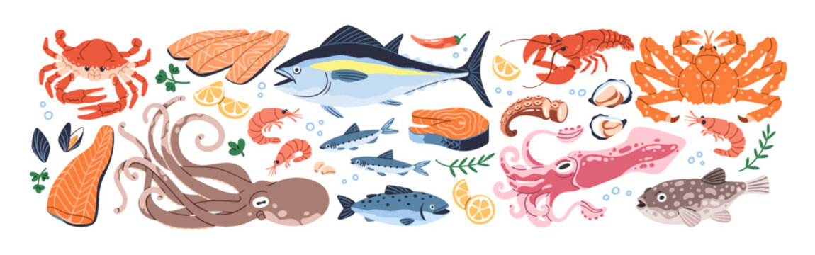 Seafood set. Fresh sea food, shrimps, lobster, marine squid, octopus, ocean shellfish, salmon, tuna and cod fish, mussels, oysters and crab. Flat vector illustration isolated on white background