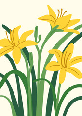Floral card, botanical poster. Blooming lily flowers, delicate petals, leaves. Spring garden background design. Summer flora, nature, gentle beautiful blossoms, leaf. Flat vector illustration