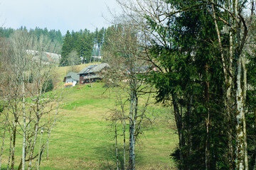 Serene hillside retreat surrounded by lush trees and rolling green pastures in a tranquil...