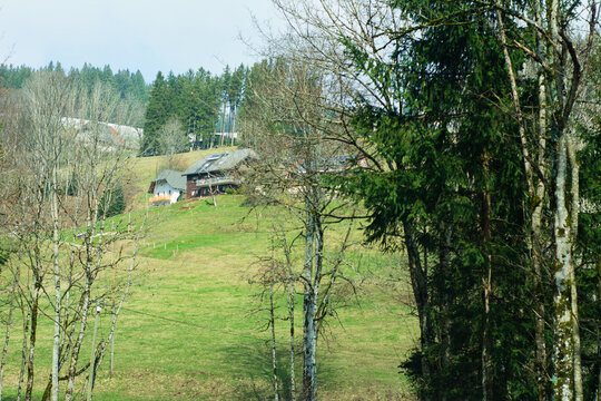 Serene hillside retreat surrounded by lush trees and rolling green pastures in a tranquil countryside setting during a cloudy day - Powered by Adobe