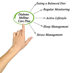 Care Plan for  Diabetes Mellitus