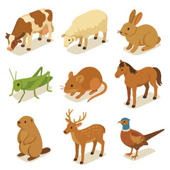 Grassland Animal Icons. Isometric Flat icon set of grassland animals: grazing cow, grazing sheep, meadow rabbit, grasshopper,