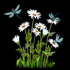 Illustration with daisies and dragonflies.Vector illustration with dragonflies and white daisies on a black background.