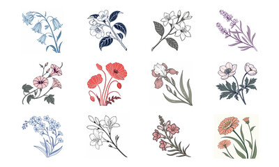 Bundle Of Hand Drawn Botanical Flower Illustrations Elegant Vintage Floral Clipart Collection For Design