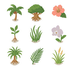Obraz na płótnie Canvas Island Flora Icons. Isometric Flat icon set of island flora: coconut palm, banyan tree, hibiscus flower, mangrove sapling, sea