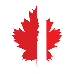 Stylized maple leaf with canadian flag colors isolated on white background