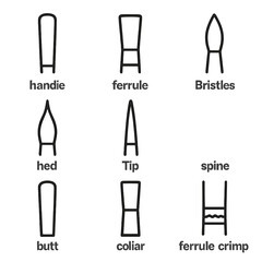 Fototapeta premium Painting Brush Anatomy. Outline icon set of painting brush anatomy: handle, ferrule, bristles, heel, tip, spine, butt, collar,
