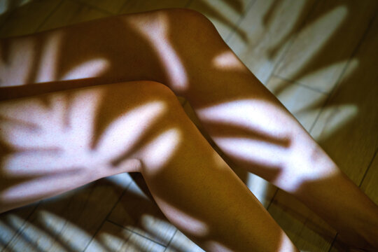 Silhouette of legs with shadow patterns indoors