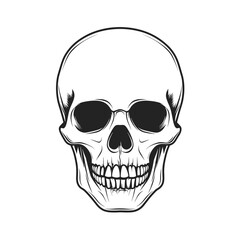 Fototapeta premium Spooky Halloween icons in black and white line style, themed set