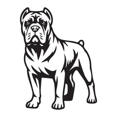 cane corso dog black silhouette vector with white background