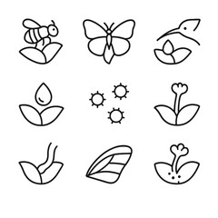 Naklejka premium Pollination Icon Collection. Outline icon set of Pollination and Petal Interaction: bee on petal, butterfly landing, hummingbird