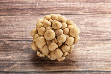 Raw asiam delicacy mushroom Shimeji
