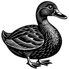 Black and White Vintage Style Duck Illustration