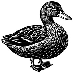 Black and White Vintage Style Duck Illustration