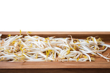 bean sprout on the wooden cutting board with a white isolated background