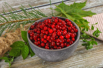 Natural organic wild forwst lingonberry