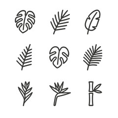Tropical Leaf Icon Set. Outline icon set of tropical leaf motifs: monstera leaf, palm frond, banana leaf, fern leaf, philodendron