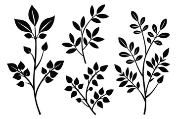 Elegant Botanical Silhouette Collection of Simple Leaf and Branch Illustrations
