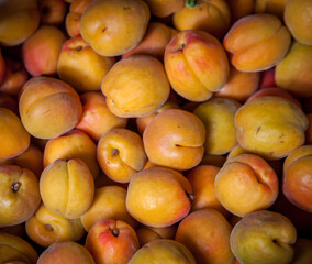 Fruit apricots fruits. Summer harvest. Apricot background. Vitamin food.