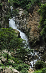 waterfall in the forest