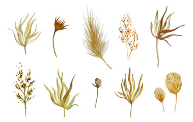 Watercolor tropical boho set with dried pampas grass and palm leaves. Hand painted exotic dry leaves. Floral illustration for design, print, fabric, greeting or wedding invitation cards. Vector isolat
