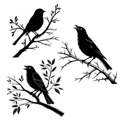 Three silhouettes of birds perched on branches, each displaying different poses.