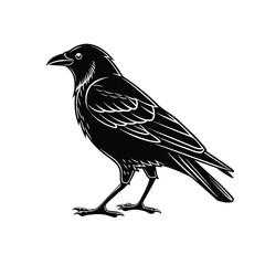Silhouette of a crow, detailed illustration, side view, black and white.