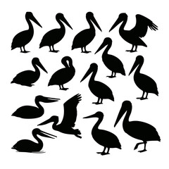 A collection of pelican silhouettes in various poses, showcasing different views and actions of the bird.