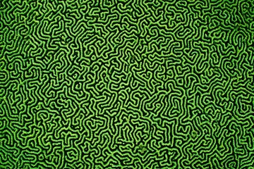 Intricate green labyrinth pattern closeup view